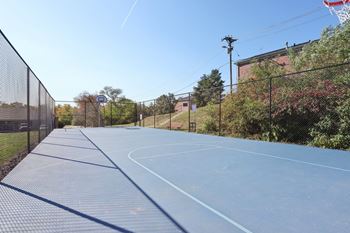 Basketball court